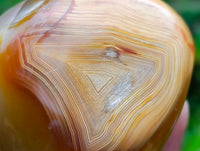 Polished Carnelian and Agate Standing Free Forms x 6 From Madagascar