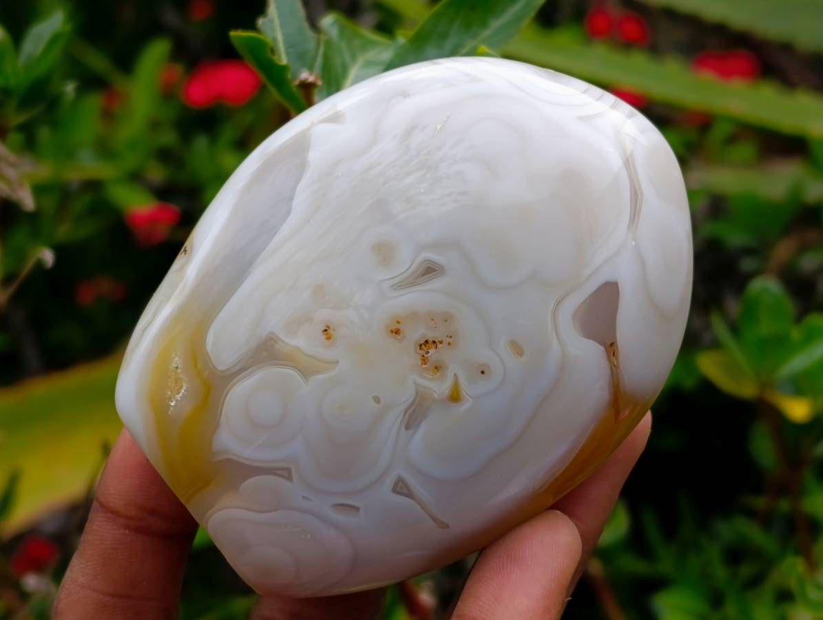 Polished Carnelian and Agate Standing Free Forms x 6 From Madagascar - Toprock Gemstones and Minerals 