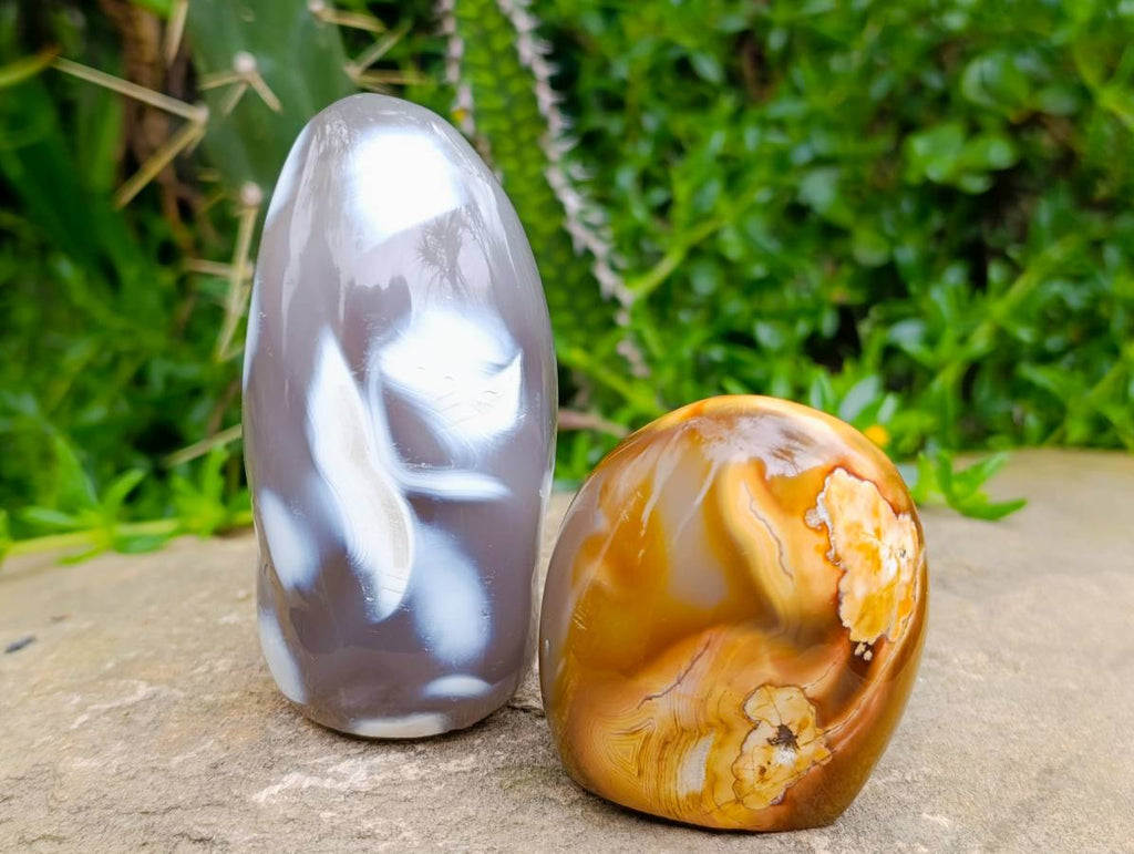 Polished Carnelian and Agate Standing Free Forms x 6 From Madagascar - Toprock Gemstones and Minerals 