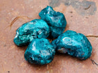Polished Dioptase Free Forms x 35 From Likasi, Congo - Toprock Gemstones and Minerals 
