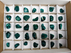 Polished Dioptase Free Forms x 35 From Likasi, Congo - Toprock Gemstones and Minerals 