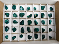 Polished Dioptase Free Forms x 35 From Likasi, Congo