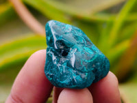 Polished Dioptase Free Forms x 35 From Likasi, Congo