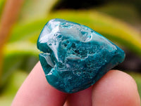 Polished Dioptase Free Forms x 35 From Likasi, Congo