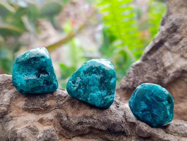 Polished Dioptase Free Forms x 35 From Likasi, Congo