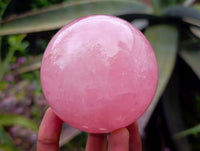 Polished Star Rose Quartz Spheres x 2 From Madagascar