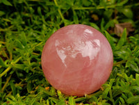 Polished Star Rose Quartz Spheres x 2 From Madagascar