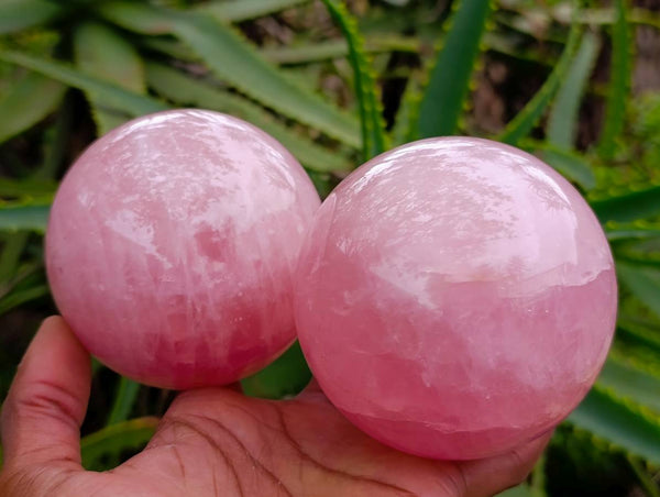 Polished Star Rose Quartz Spheres x 2 From Madagascar