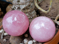 Polished Star Rose Quartz Spheres x 2 From Madagascar