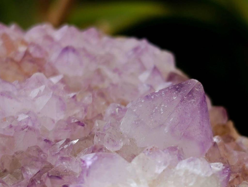 Natural Sunburst Amethyst Spirit Quartz Plates x 2 From Boekenhouthoek, South Africa - Toprock Gemstones and Minerals 
