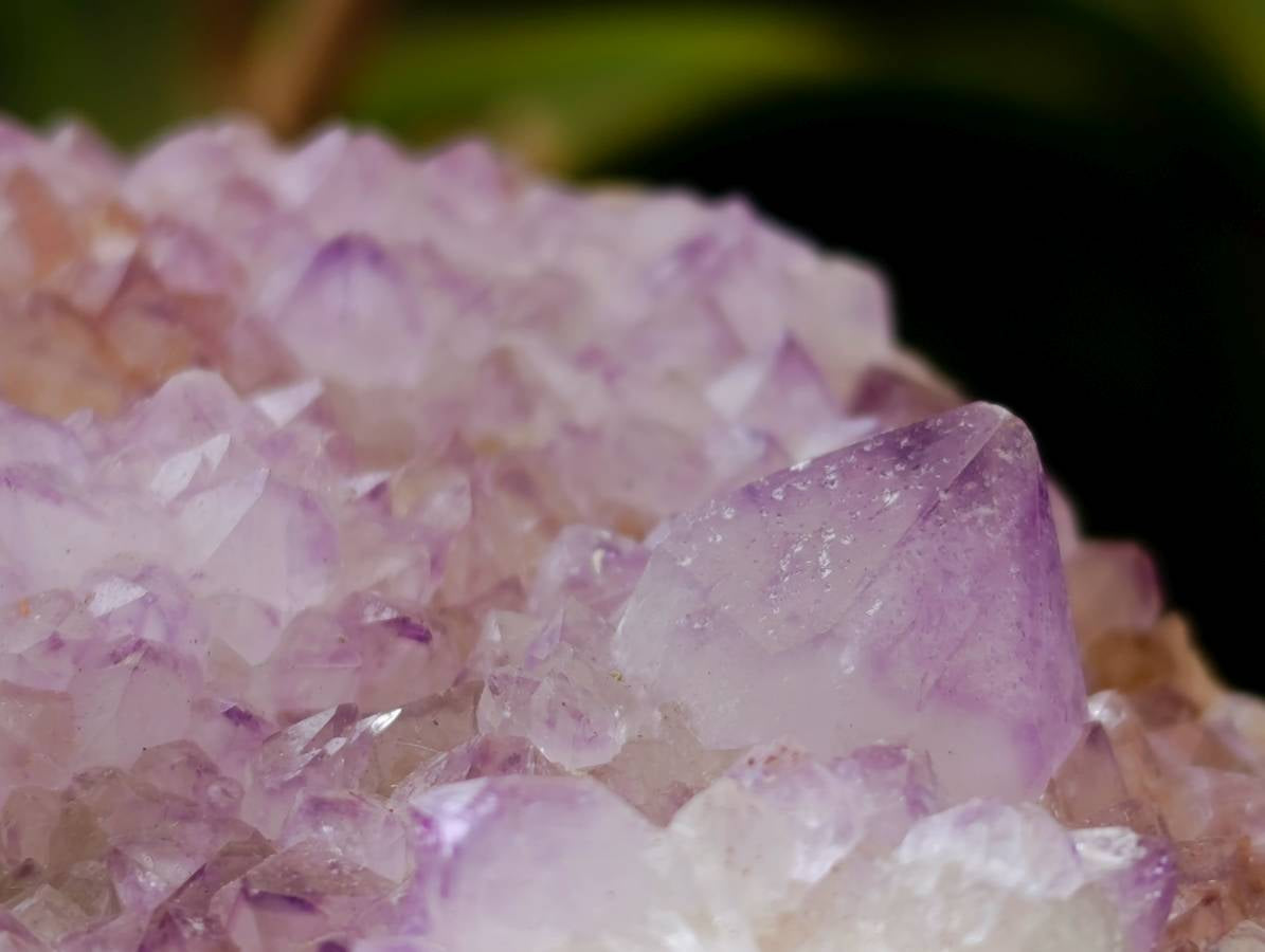 Natural Sunburst Amethyst Spirit Quartz Plates x 2 From Boekenhouthoek, South Africa - Toprock Gemstones and Minerals 
