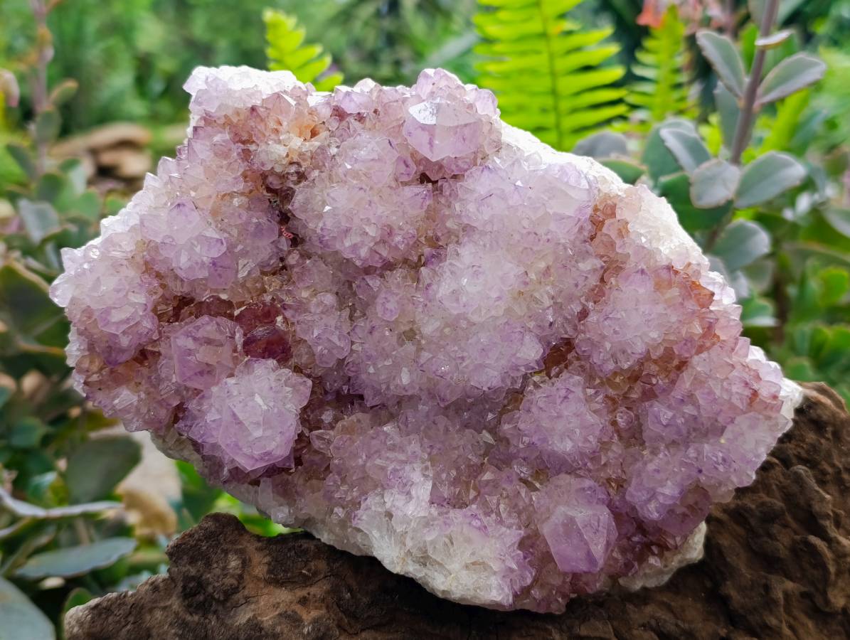 Natural Sunburst Amethyst Spirit Quartz Plates x 2 From Boekenhouthoek, South Africa - Toprock Gemstones and Minerals 