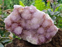 Natural Sunburst Amethyst Spirit Quartz Plates x 2 From Boekenhouthoek, South Africa