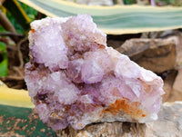 Natural Sunburst Amethyst Spirit Quartz Plates x 2 From Boekenhouthoek, South Africa