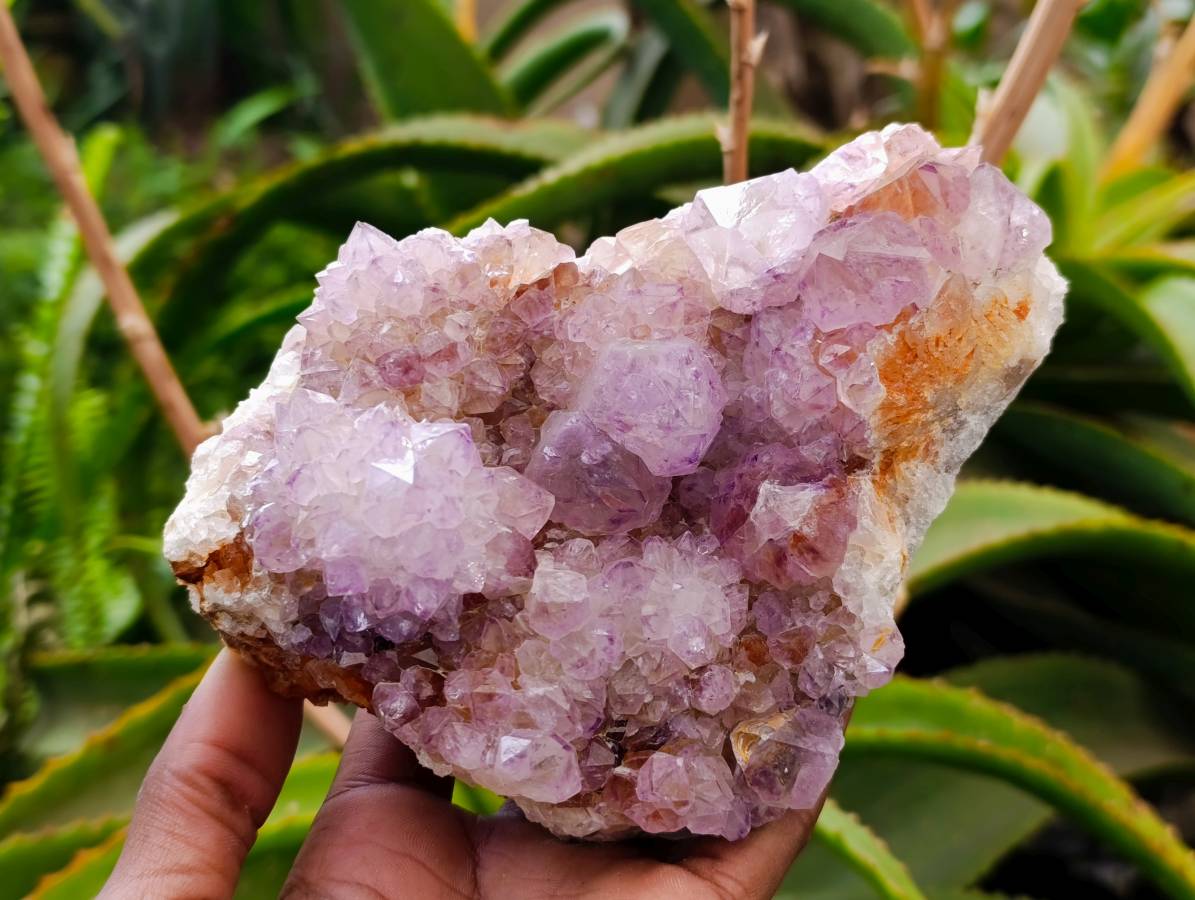 Natural Sunburst Amethyst Spirit Quartz Plates x 2 From Boekenhouthoek, South Africa - Toprock Gemstones and Minerals 