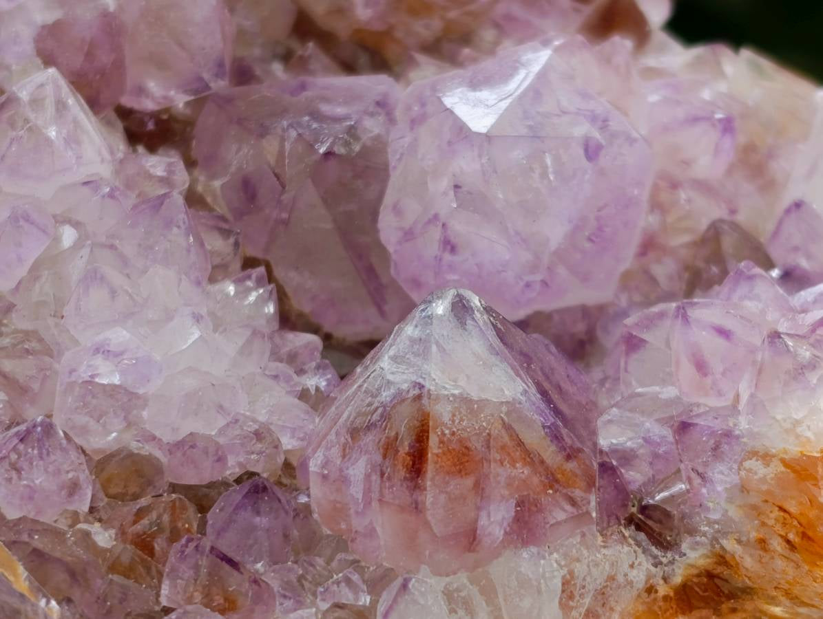 Natural Sunburst Amethyst Spirit Quartz Plates x 2 From Boekenhouthoek, South Africa - Toprock Gemstones and Minerals 