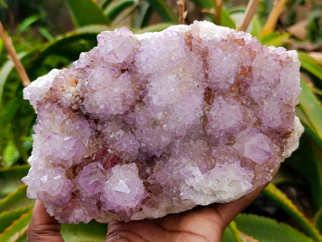 Natural Sunburst Amethyst Spirit Quartz Plates x 2 From Boekenhouthoek, South Africa - Toprock Gemstones and Minerals 