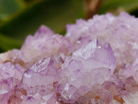 Natural Sunburst Amethyst Spirit Quartz Plates x 2 From Boekenhouthoek, South Africa