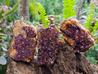 Natural Amethystos Amethyst Clusters x 15 From Kwaggafontein, South Africa