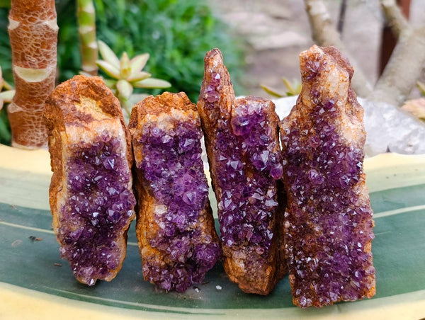 Natural Amethystos Amethyst Clusters x 15 From Kwaggafontein, South Africa