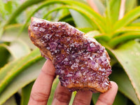 Natural Amethystos Amethyst Clusters x 15 From Kwaggafontein, South Africa