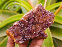 Natural Amethystos Amethyst Clusters x 15 From Kwaggafontein, South Africa