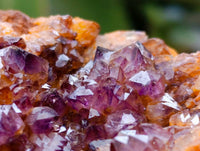 Natural Amethystos Amethyst Clusters x 15 From Kwaggafontein, South Africa