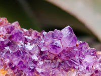 Natural Amethystos Amethyst Clusters x 15 From Kwaggafontein, South Africa