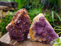 Natural Amethystos Amethyst Clusters x 15 From Kwaggafontein, South Africa