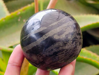 Polished Basalt Pharaoh Stone Spheres x 2 From Iron Duke Mine, Zimbabwe