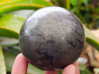 Polished Basalt Pharaoh Stone Spheres x 2 From Iron Duke Mine, Zimbabwe