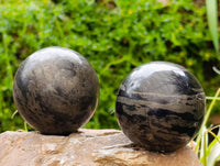 Polished Basalt Pharaoh Stone Spheres x 2 From Iron Duke Mine, Zimbabwe