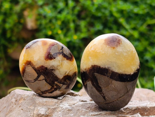 Polished Septerye Galets x 12 From Mahajanga, Madagascar