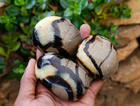 Polished Septerye Galets x 12 From Mahajanga, Madagascar