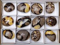 Polished Septerye Galets x 12 From Mahajanga, Madagascar