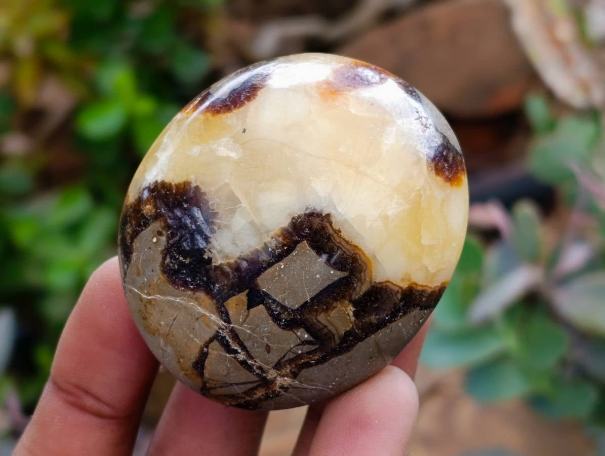 Polished Septerye Galets x 12 From Mahajanga, Madagascar - Toprock Gemstones and Minerals 