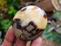 Polished Septerye Galets x 12 From Mahajanga, Madagascar
