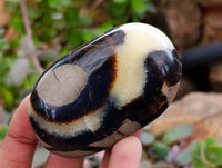 Polished Septerye Galets x 12 From Mahajanga, Madagascar