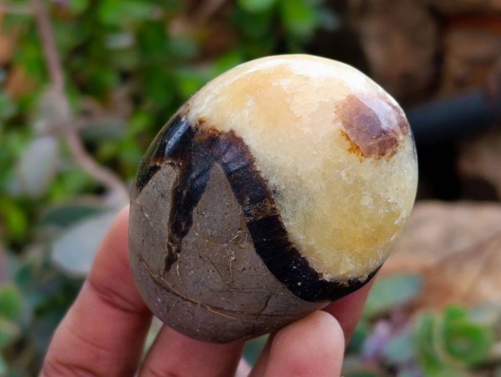 Polished Septerye Galets x 12 From Mahajanga, Madagascar - Toprock Gemstones and Minerals 