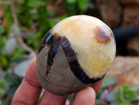 Polished Septerye Galets x 12 From Mahajanga, Madagascar