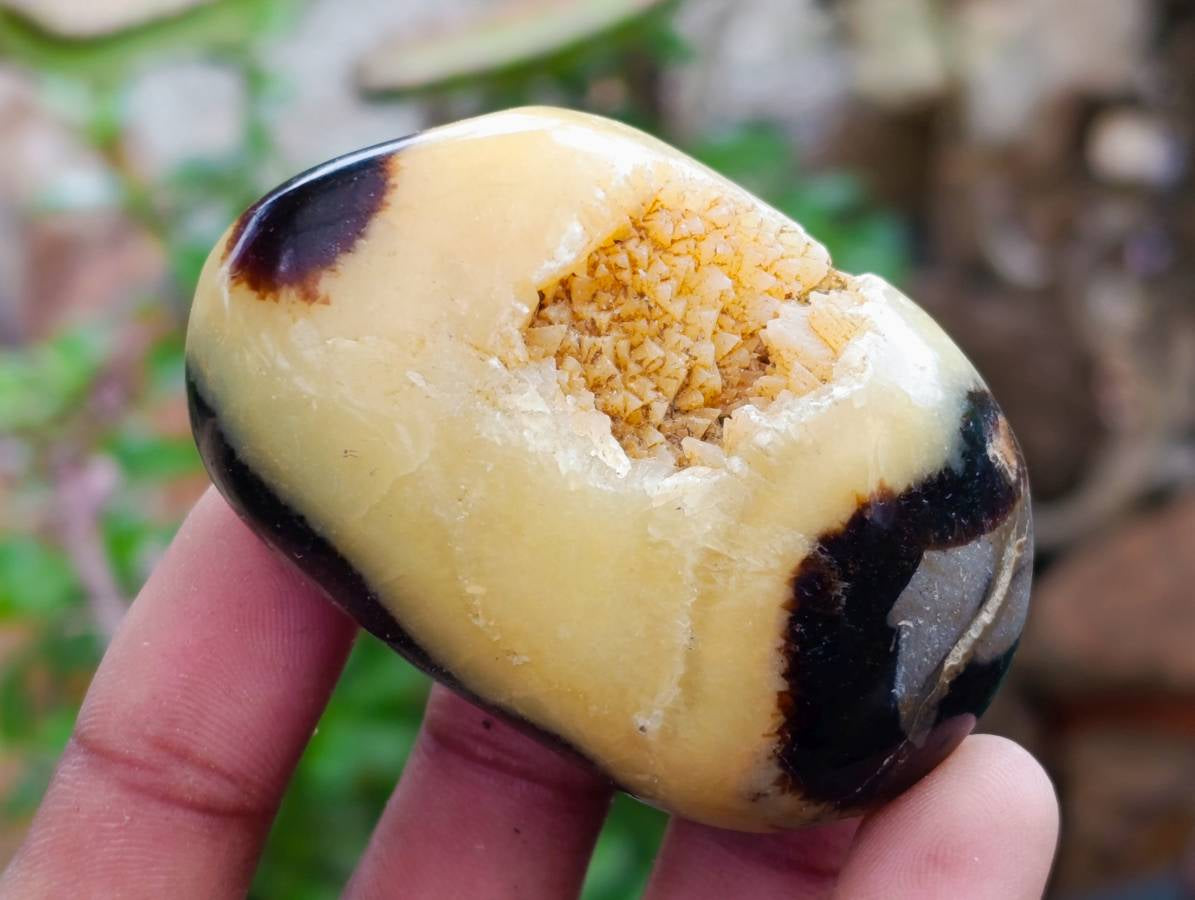 Polished Septerye Galets x 12 From Mahajanga, Madagascar - Toprock Gemstones and Minerals 