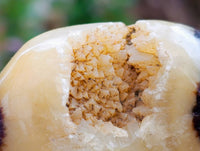 Polished Septerye Galets x 12 From Mahajanga, Madagascar