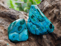 Polished Malacolla Free Forms x 35 From Kulukuluku, Congo