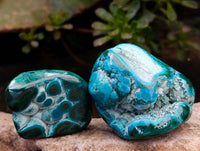 Polished Malacolla Free Forms x 35 From Kulukuluku, Congo