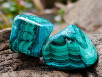 Polished Malacolla Free Forms x 35 From Kulukuluku, Congo