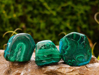 Polished Malacolla Free Forms x 35 From Kulukuluku, Congo