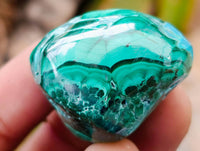 Polished Malacolla Free Forms x 35 From Kulukuluku, Congo
