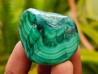 Polished Malacolla Free Forms x 35 From Kulukuluku, Congo