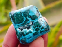 Polished Malacolla Free Forms x 35 From Kulukuluku, Congo