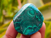 Polished Malacolla Free Forms x 35 From Kulukuluku, Congo